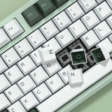 Botanical Mechanical Keyboard Kit Gaming Point Retro GMK67