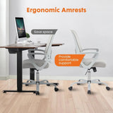 Ergonomic Office Chair