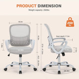 Ergonomic Office Chair