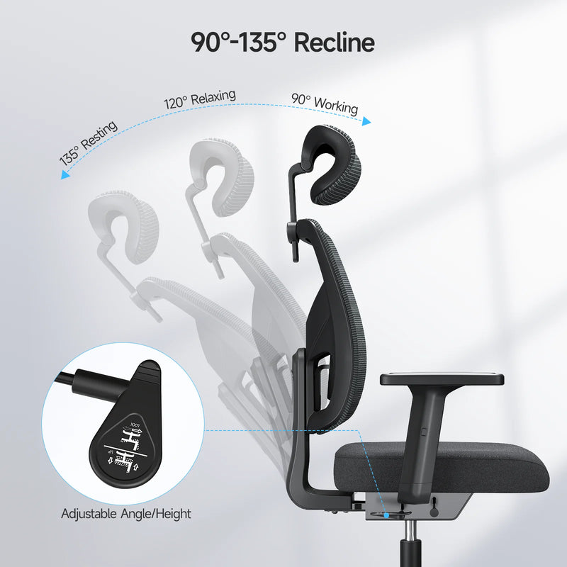 Ergonomic Office Chair with Lumbar Support