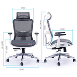 FORTIA Ergonomic Office Desk Chair, Coolmesh Fabric, Headrest, Adjustable Lumbar Support, Armrests and Recline, Dark Grey Mesh/White Frame