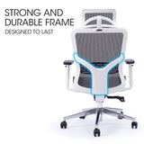 FORTIA Ergonomic Office Desk Chair, Coolmesh Fabric, Headrest, Adjustable Lumbar Support, Armrests and Recline, Dark Grey Mesh/White Frame