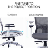 FORTIA Ergonomic Office Desk Chair, Coolmesh Fabric, Headrest, Adjustable Lumbar Support, Armrests and Recline, Dark Grey Mesh/White Frame